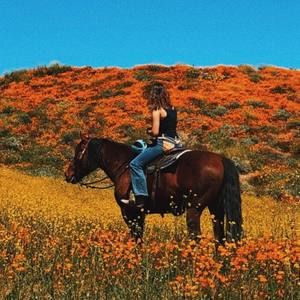 Meet your Posher, Izzy